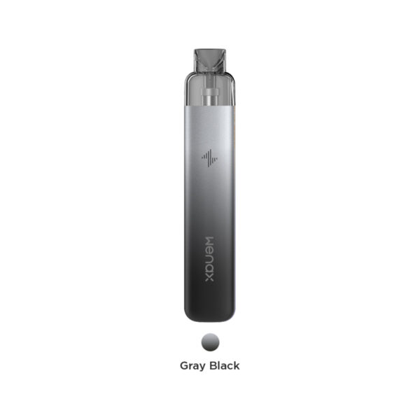 Geekvape Wenax K1 SE gray black